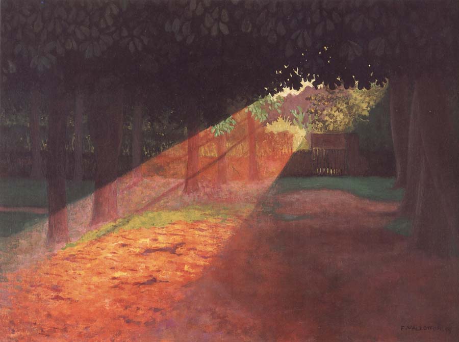 Felix Vallotton The Ray